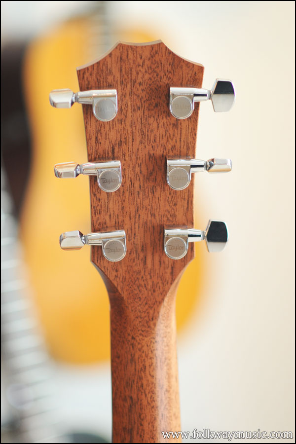 Taylor 320e Baritone Spring Limited