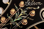 2005 Gibson Wayne Benson F5