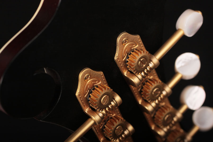 2005 Gibson Wayne Benson F5