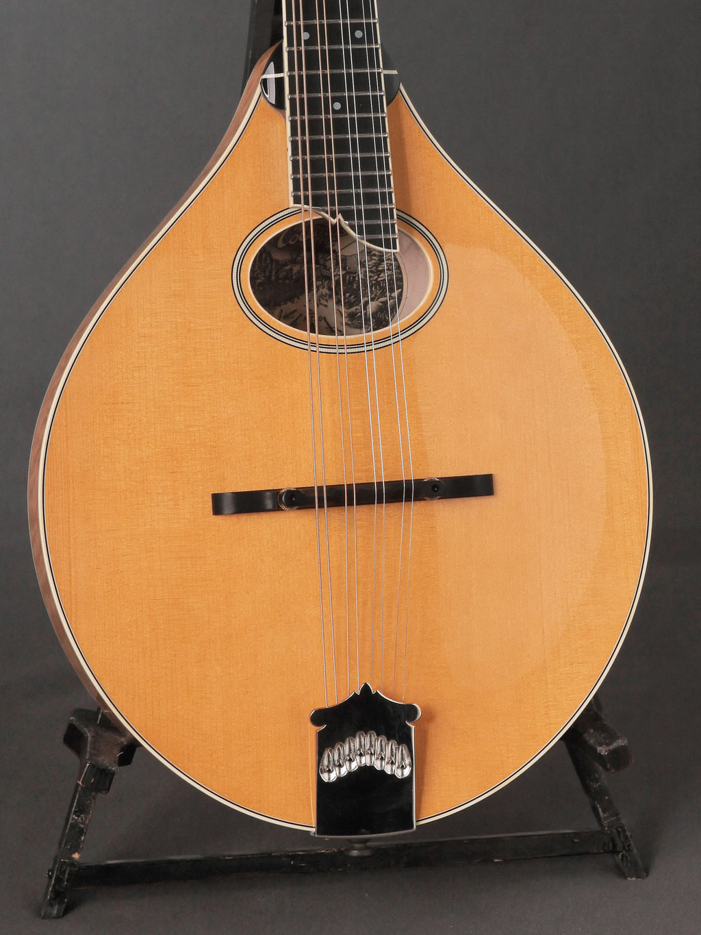 Collings MT2 O