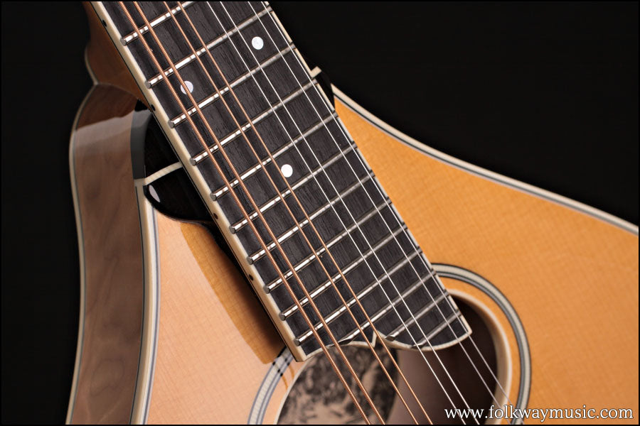 Collings MT2 O