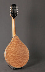 Collings MT2 O