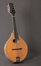 Collings MT2 O