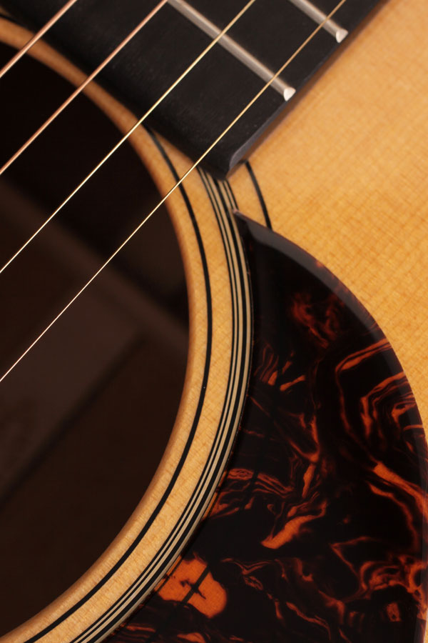 Martin D-18E Retro (discontinued spec)