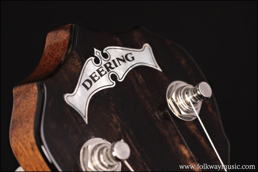 2008 Deering Custom Deluxe 17 Fret Tenor