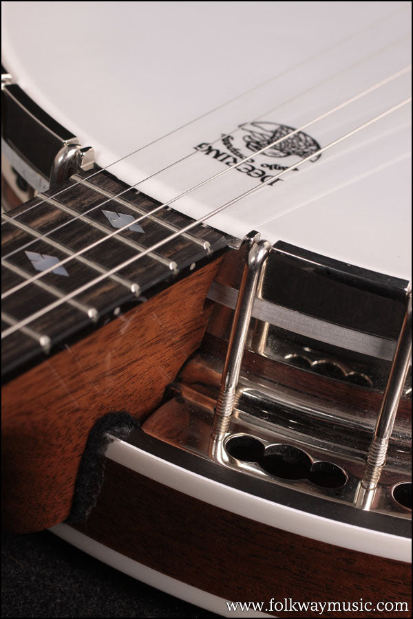 2008 Deering Custom Deluxe 17 Fret Tenor