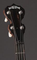 2008 Deering Custom Deluxe 17 Fret Tenor