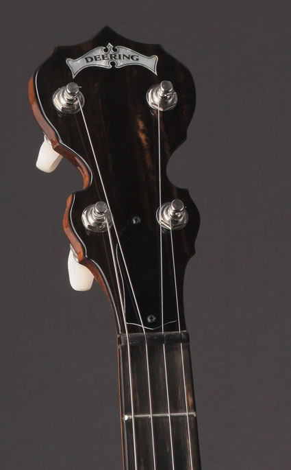 2008 Deering Custom Deluxe 17 Fret Tenor