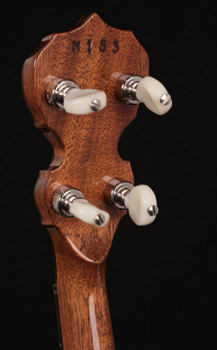 2008 Deering Custom Deluxe 17 Fret Tenor