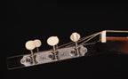 1975 Dobro Model 60