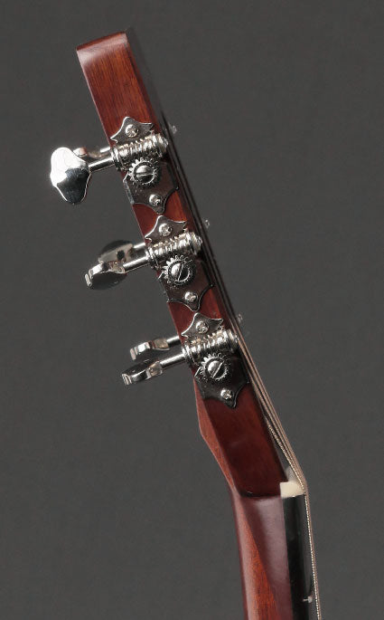 2011 Eastman E10P