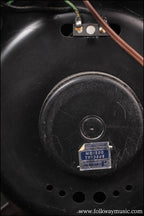 1961 Epiphone Century ES25T