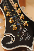 2015 Gibson F5L Fern