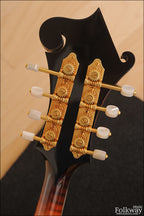 2015 Gibson F5L Fern