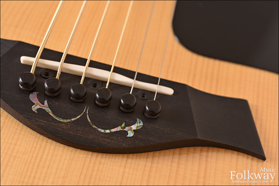 2014 Taylor Custom GT6 Baritone