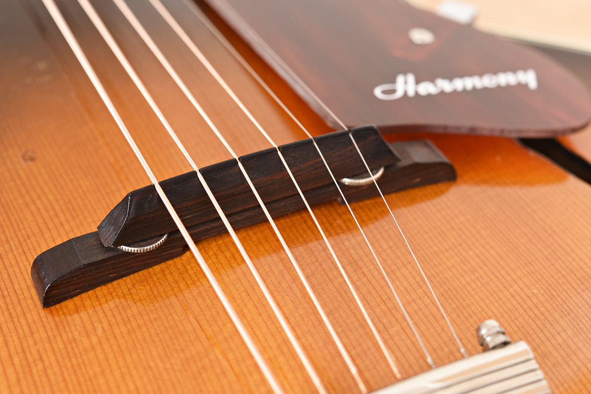 1959 Harmony H-1310
