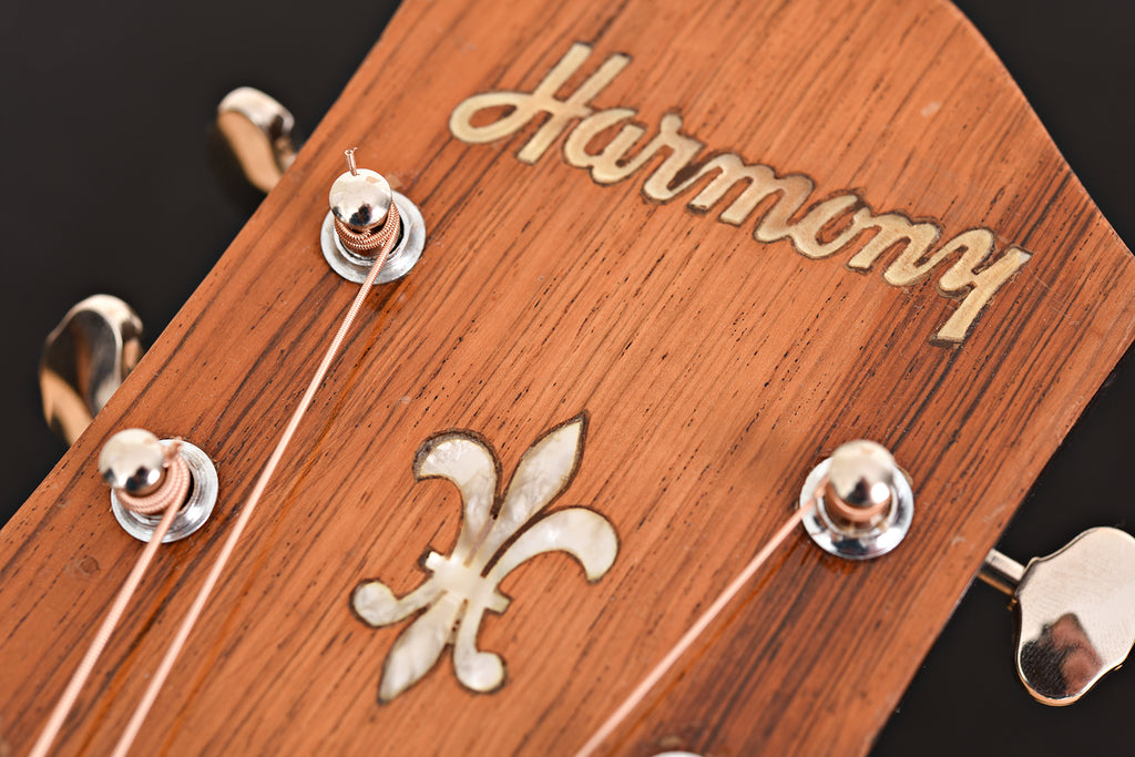 1959 Harmony H-1310