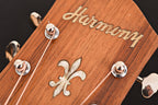 1959 Harmony H-1310