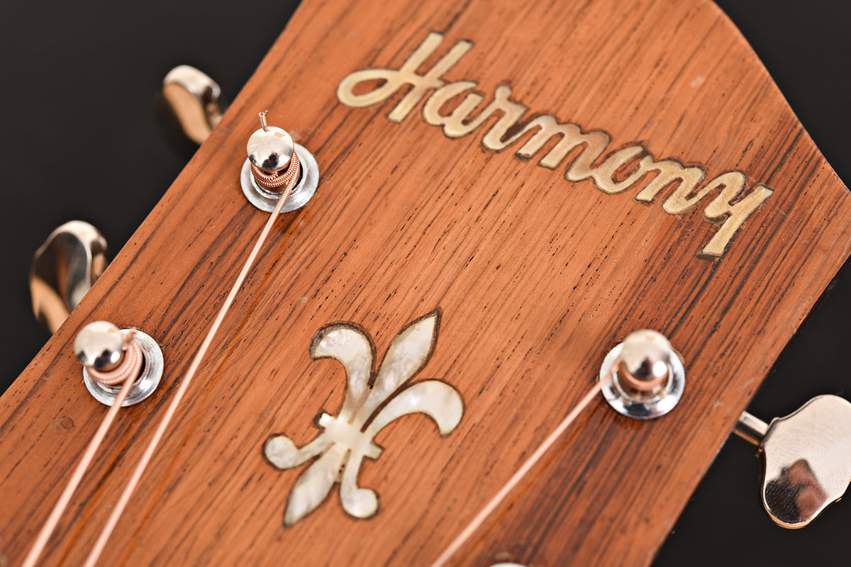 1959 Harmony H-1310