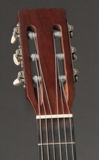 1960 Harmony H173 Classical