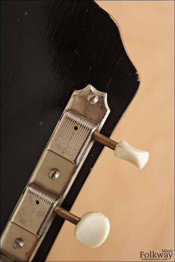 1959 Kay K-24 with DeArmond