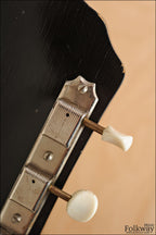 1959 Kay K-24 with DeArmond