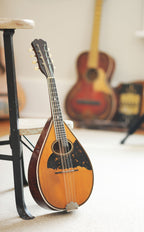 c.1920 Maurer / Larson Mandolin