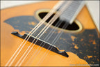 c.1920 Maurer / Larson Mandolin