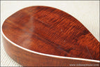 c.1920 Maurer / Larson Mandolin