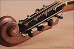 1922 Lyon and Healy Style A Mandocello