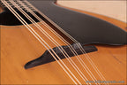 1922 Lyon and Healy Style A Mandocello