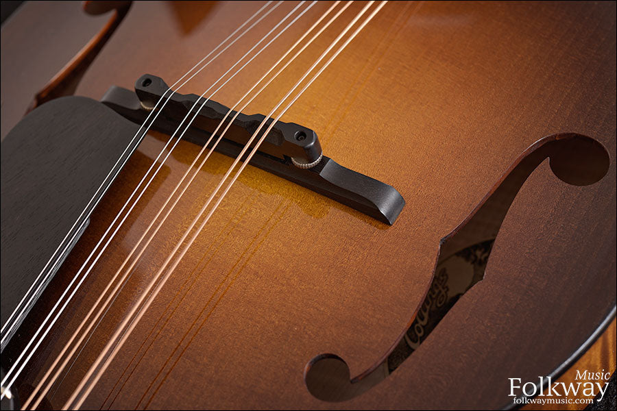 Collings MF Gloss Top