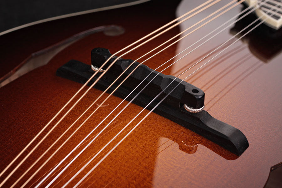 Collings MF5