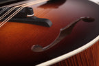 Collings MF5