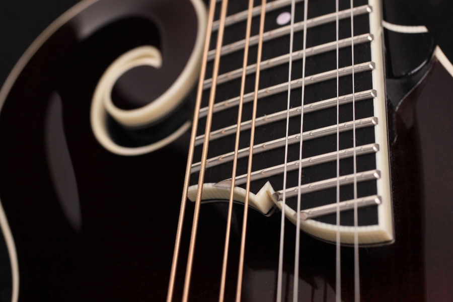 Collings MF5