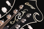 Collings MF5