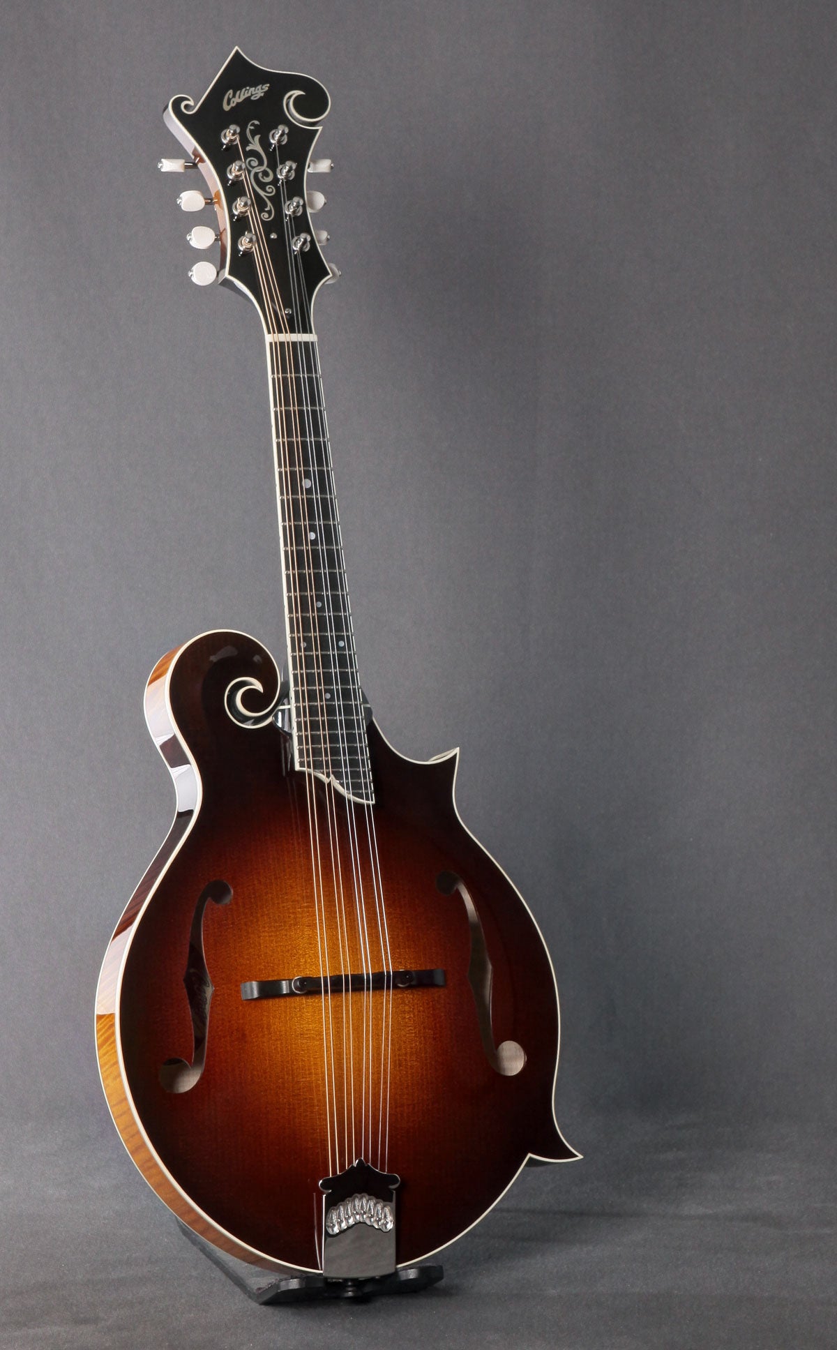 Collings MF5