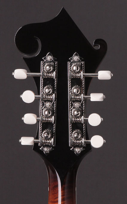Collings MF5