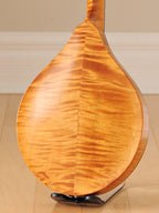 2012 Collings MT