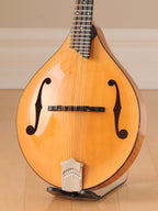 2012 Collings MT