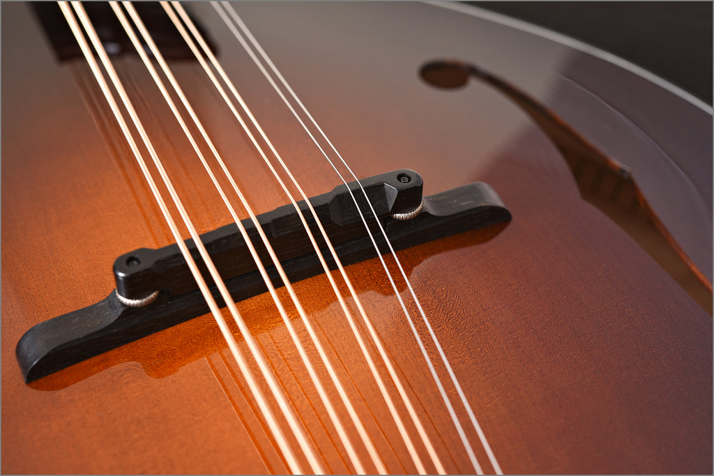 2013 Collings MT2 Mandola