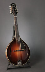 Collings MT2 V