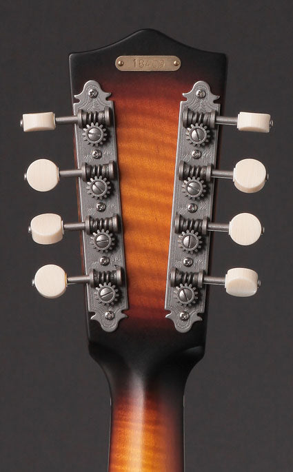 National RM-1 Walnut Mandolin