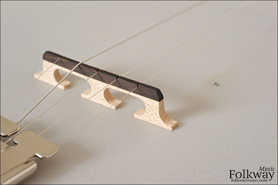 2012 Recording King RK-Elite-75