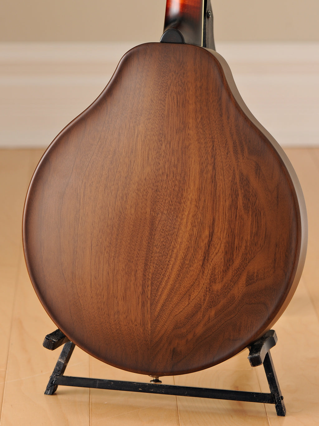 Recent National RM-1 Mandolin