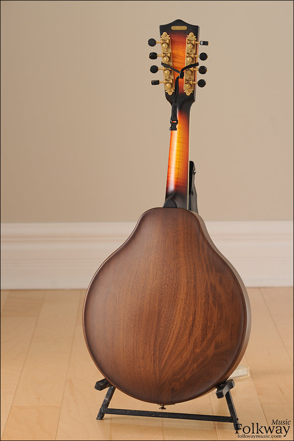 Recent National RM-1 Mandolin