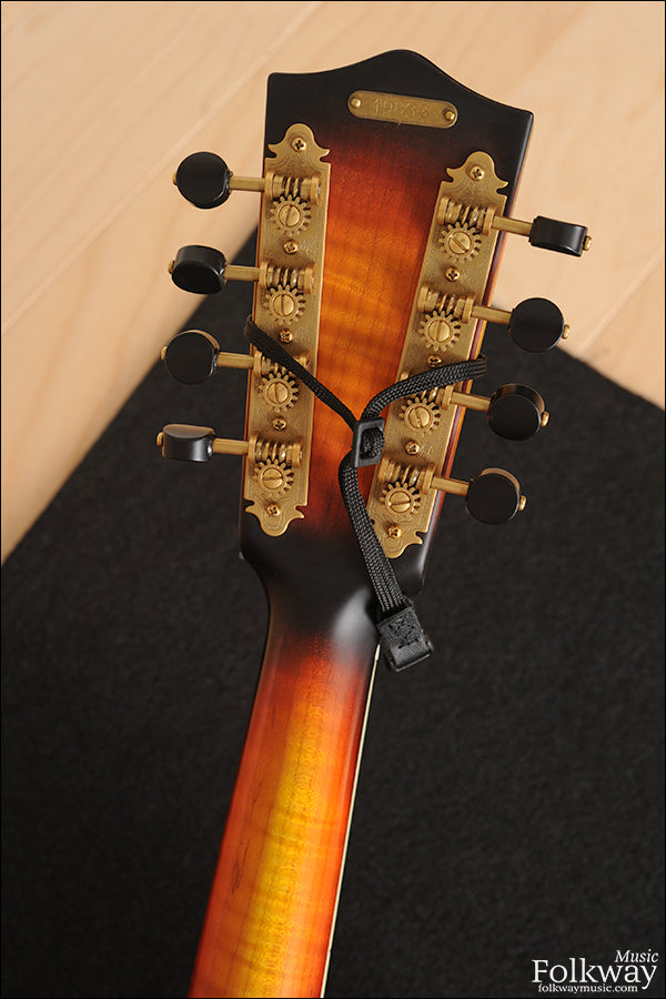 Recent National RM-1 Mandolin