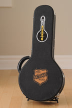 Recent National RM-1 Mandolin