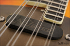 Recent National RM-1 Mandolin