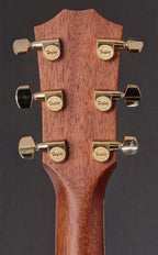 Taylor GS8